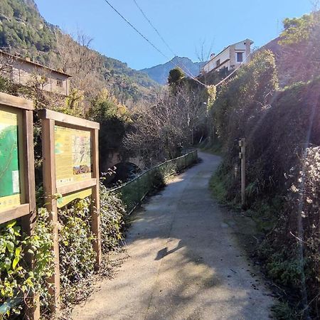 Alojamientos Puerta Del Parque Cazorla Bilik gambar