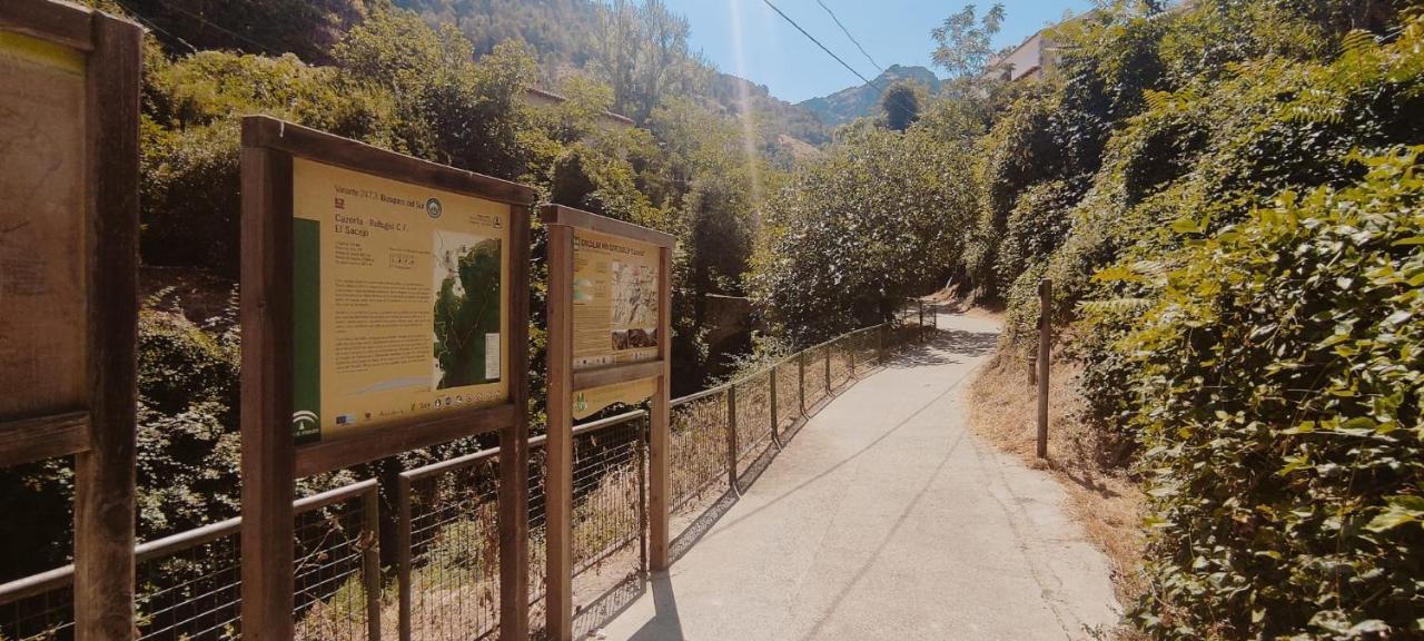 Alojamientos Puerta Del Parque Cazorla Luaran gambar
