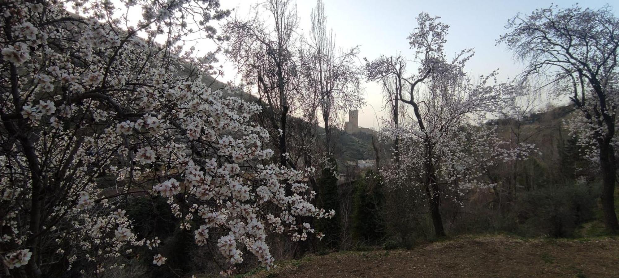 Alojamientos Puerta Del Parque Cazorla Bilik gambar
